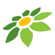 YANDEX BOKEH